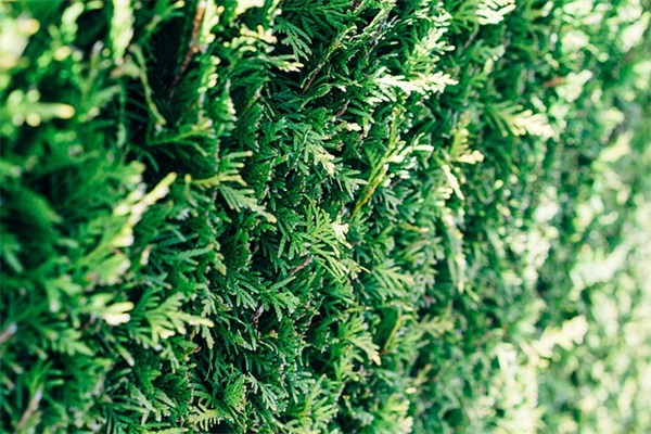 用像和又像造句大全 用不像而像造句大全(精选83句) 用像和又像造句大全 用不像而像造句大全(精选83句)