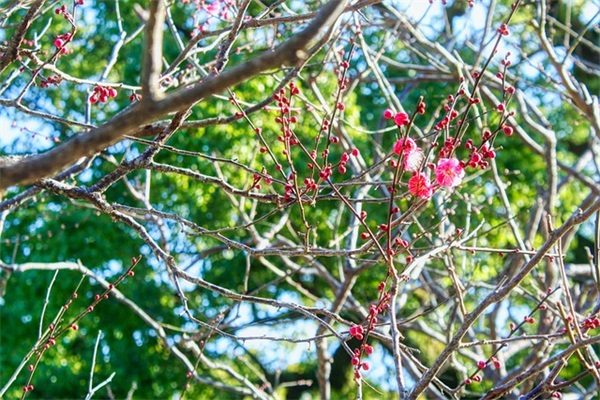 是造句一年级 一年级词语造句(精选96句) 是造句一年级 一年级词语造句(精选96句)