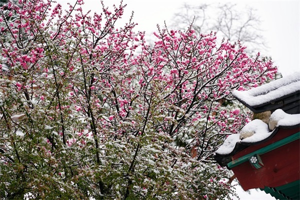眼花缭乱造句 用眼花缭乱和如梦初醒造句(精选74句)