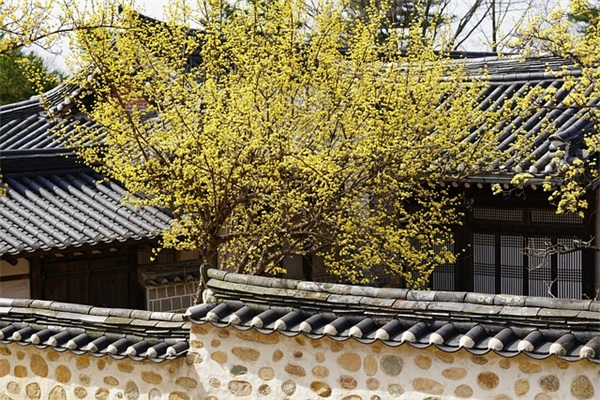 出色的造句 出色造句一年级(精选100句)
