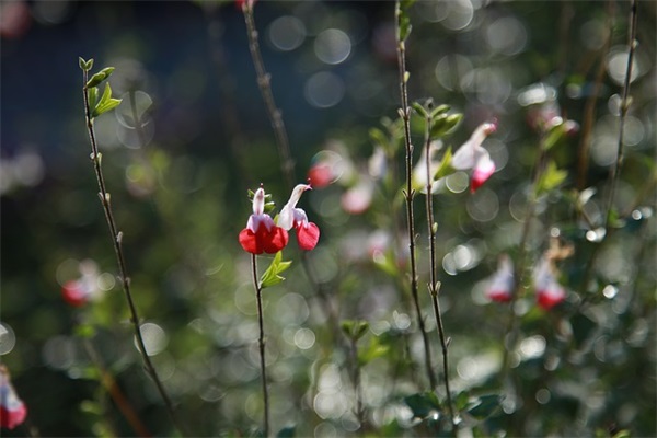 打油诗范例6篇