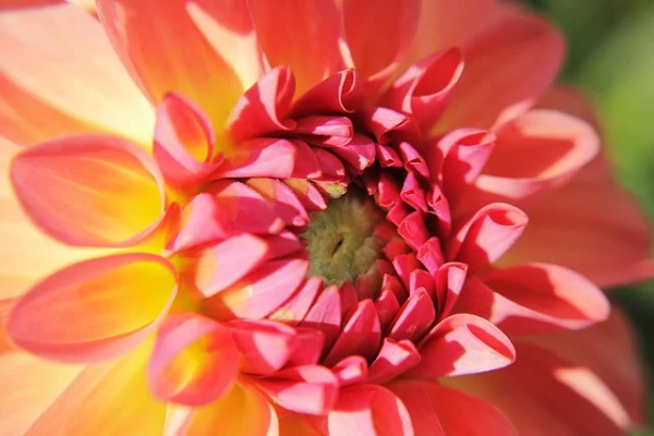 描写大自然美的句子