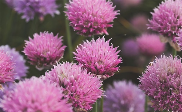 简约中秋节送礼句子 中秋节送礼的句子