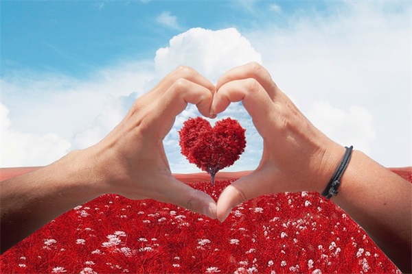 描写夜晚安静的句子