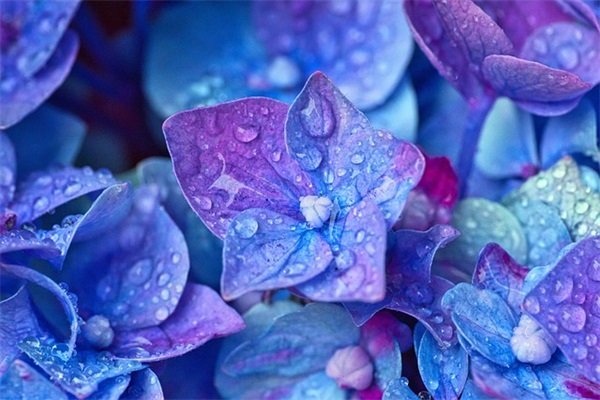 祝愿孩子生日的文艺句子(祝愿朋友生日的暖心句子)