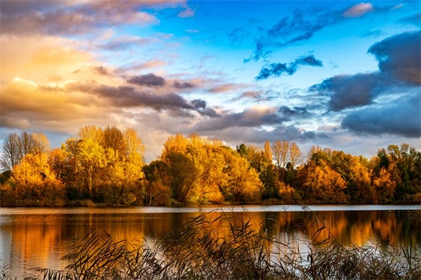 新年搞笑说说 搞笑说说大全