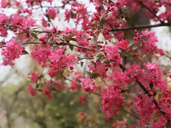 形容父亲节的句子58句