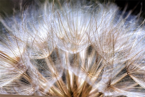 形容人淡然的句子83句