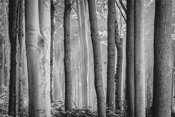 为目标奋斗的句子84句