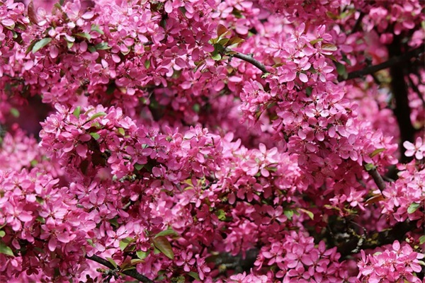 幸福爱情正能量的句子