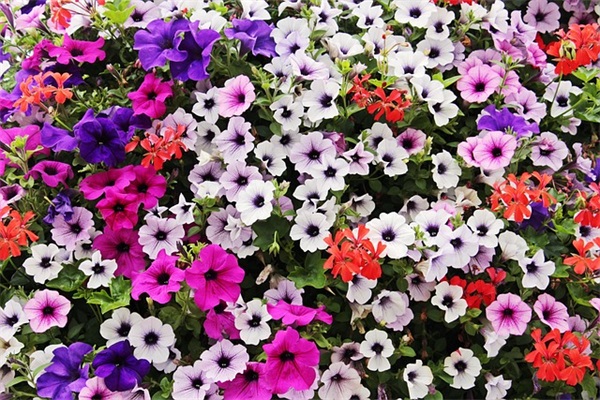 一些伤感绝望的句子