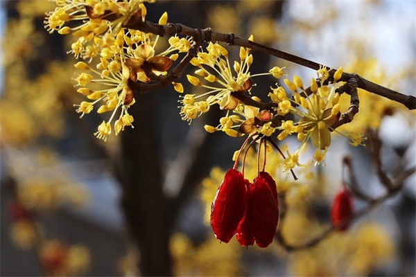 没有人依靠的心酸短句 特别心酸现实的句子