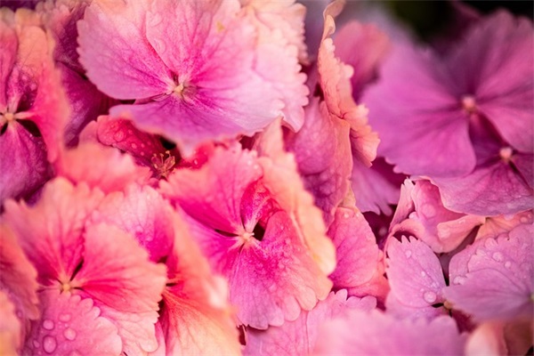 非主流伤感分别句子 非主流伤感分别句子