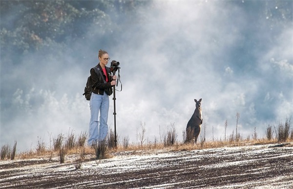 努力过不后悔的句子 努力向上的句子