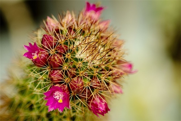 很有意境的句子79句