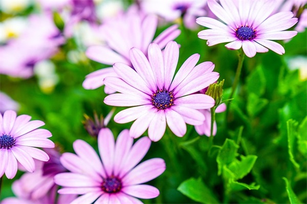 怀念童年的优美句子 回忆童年感慨的句子 怀念童年的优美句子 回忆童年感慨的句子