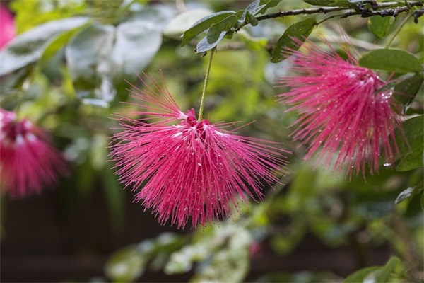 描述快乐时光的句子 描述快乐时光的句子