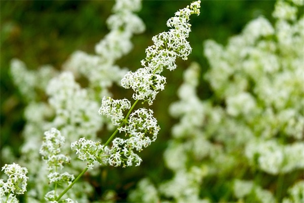 两个字的温馨女网名