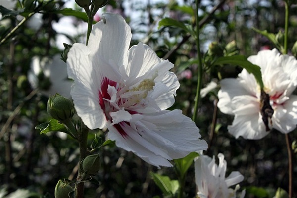 两个字的网名女生污