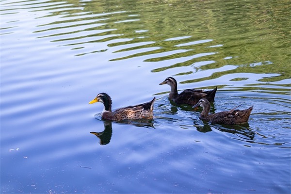 两字女孩网名大全