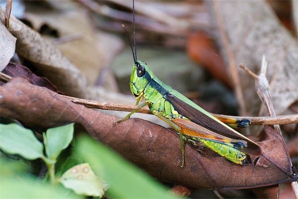 三个字女生网名