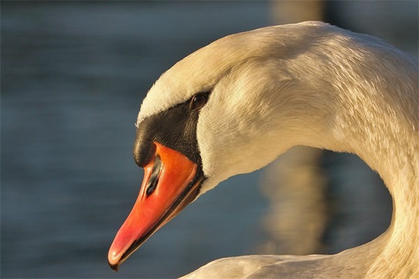 二字网名抑郁女生