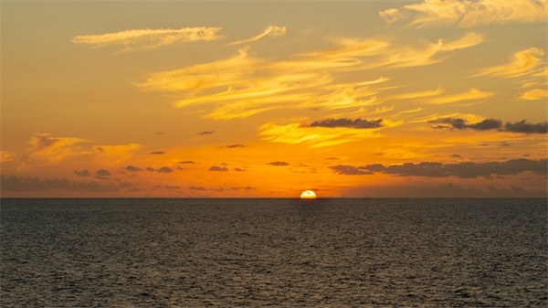 描写学校优美环境的文艺句子