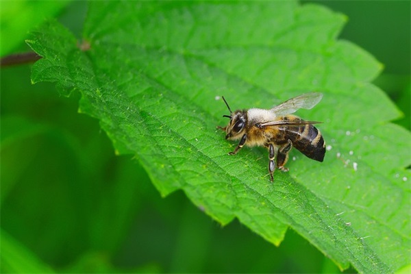 学生军训励志正能量的句子