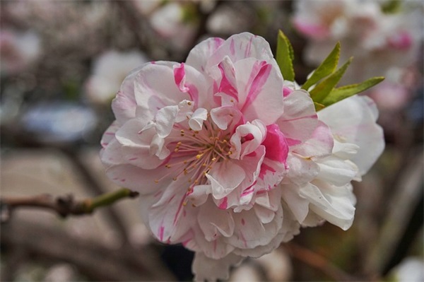 早安心语令人感动的句子