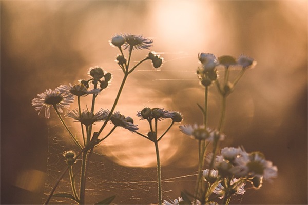 一个人走在街上的句子