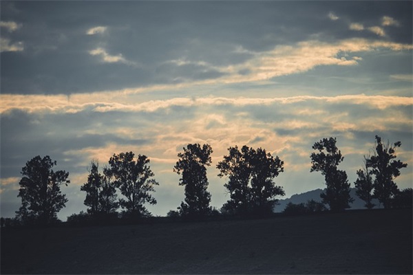 异地想媳妇的句子 特别想念老婆的句子