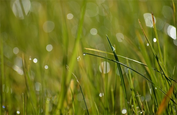 描写长城的句子 赞美长城的句子