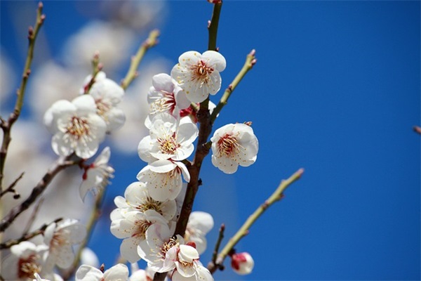 思念中带着忧伤的句子