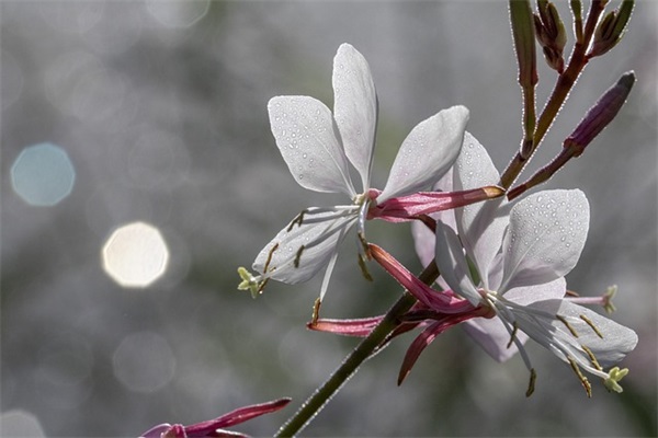 享受美食的句子64句