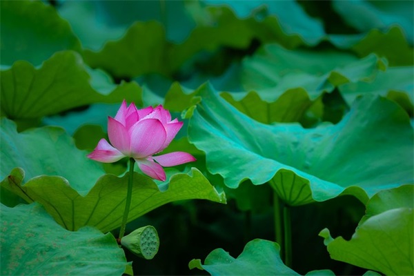 最诚恳向老婆道歉的句子 最诚恳向老婆道歉的句子