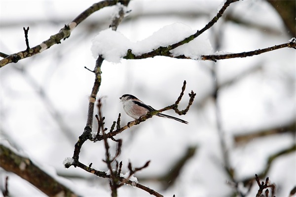 四月你好心情优美句子