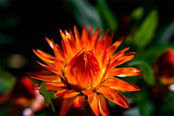 关于爱情暗恋的句子 曾经相遇总胜过从未碰头 关于爱情暗恋的句子 曾经相遇总胜过从未碰头