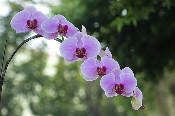 表达坏心情的好句子