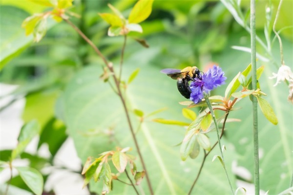 抖音四月你好最火文案句子 抖音火的文案开心