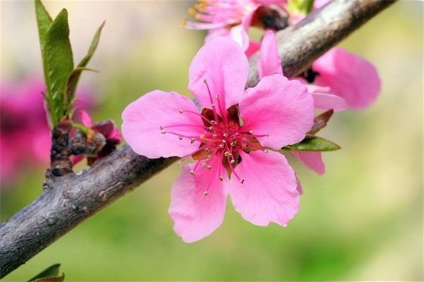 非主流伤感的句子80句