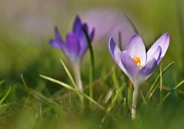 励志的句子致自己简短英语