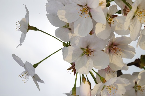 晚安感悟句子 晚安的句子