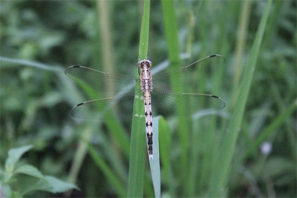 伤感抒情的句子86句