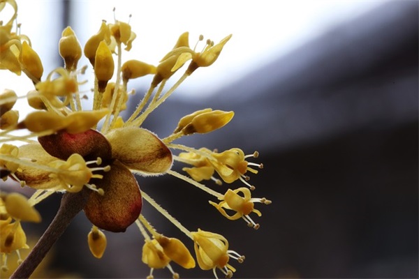 致自己2025年感言句子