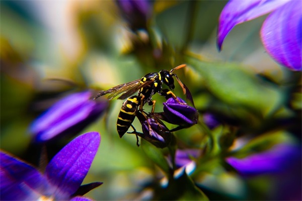 人生成长哲理句子