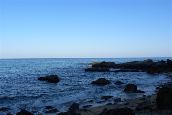 摘抄春天优美句子 2025年描写春天的优美短句