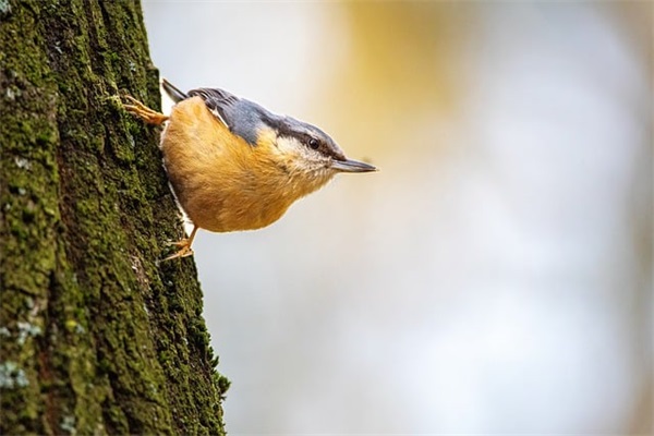 2025霸气励志句子