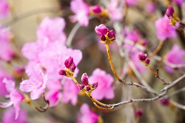 又是一年冬至时的说说句子唯美 又是一年冬至时的说说句子唯美