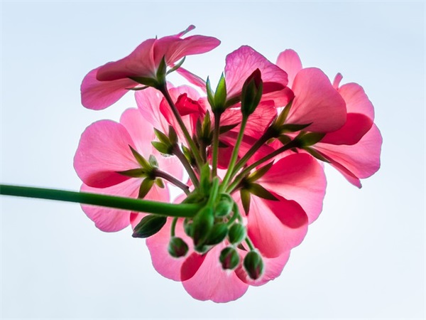 描写嘴巴的好句子摘抄 描写嘴巴的好句子摘抄