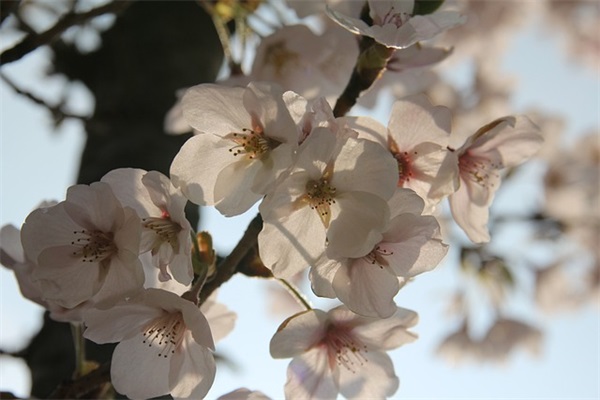 看破红尘的网名125句